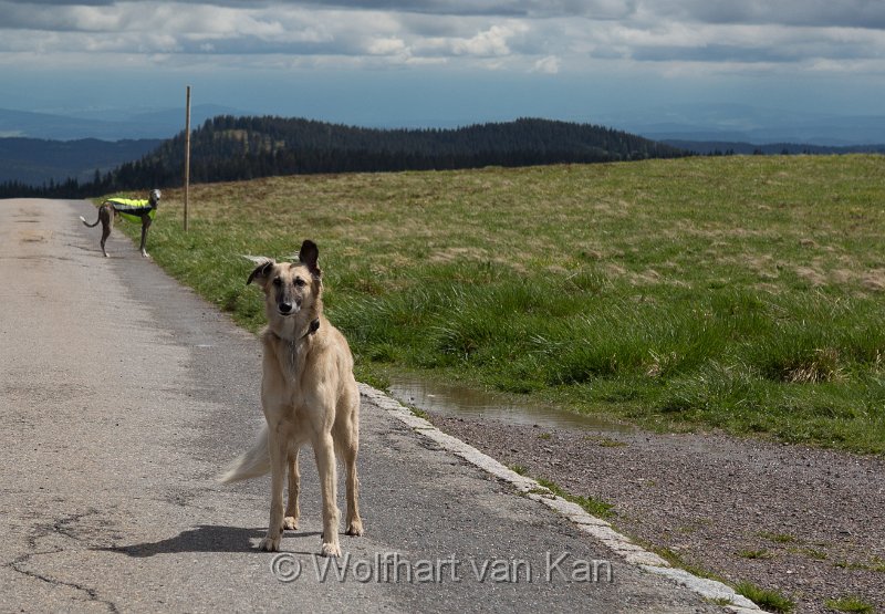 0K2A1952.jpg - 31.05.2016 Feldberg