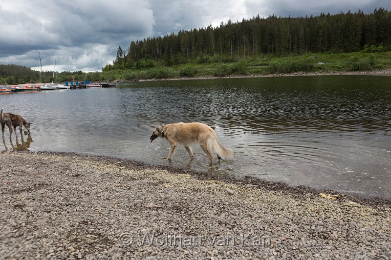 0K2A2079.jpg - 01.06.2016 Schluchsee - Erste Rast