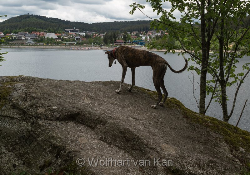 0K2A2086.jpg - 01.06.2016 Schluchsee