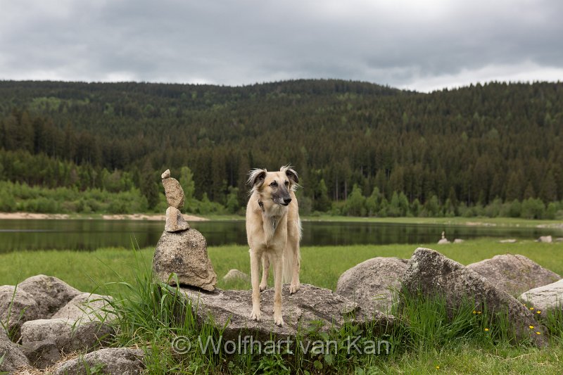 0K2A2174.jpg - 01.06.2016 Schluchsee