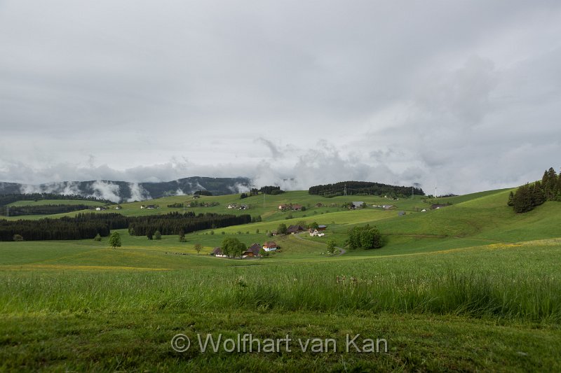 0K2A2178.jpg - 02.06.2016 Breitnau, die morgendliche Aussicht